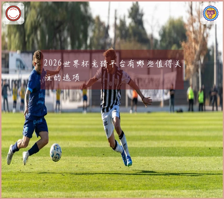 2026世界杯竞猜平台有哪些值得关注的选项