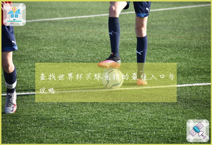 查找世界杯买球竞猜的最佳入口与攻略